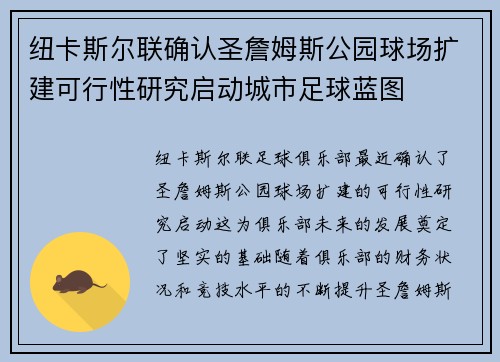 纽卡斯尔联确认圣詹姆斯公园球场扩建可行性研究启动城市足球蓝图 纽卡斯尔联确认圣詹姆斯公园球场扩建可行性研究启动城市足球蓝图